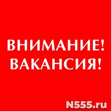 Подработка без опыта / На дому